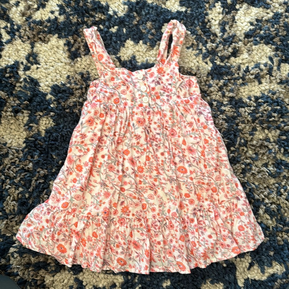 Baby Gap 12-18 month Floral Pink Dress